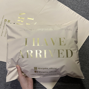 Custom Printed Logo Biodegradable Recyclable Poly Mailers Courier Bags Shoes Packaging